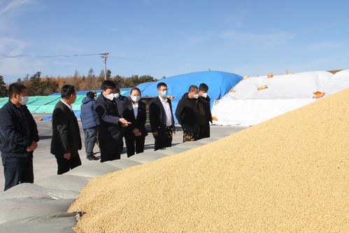 由“種得好”到“賣得好” 長水河農(nóng)場的糧食收購樣本觀察